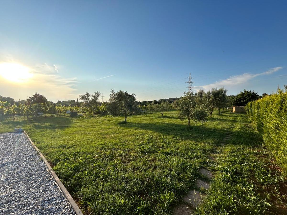 Dora House With Wifi And Outdoor Swimming Pool Pula